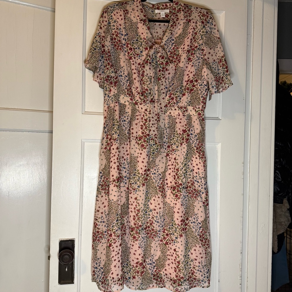 NWT Floral Pink Chiffon Dress